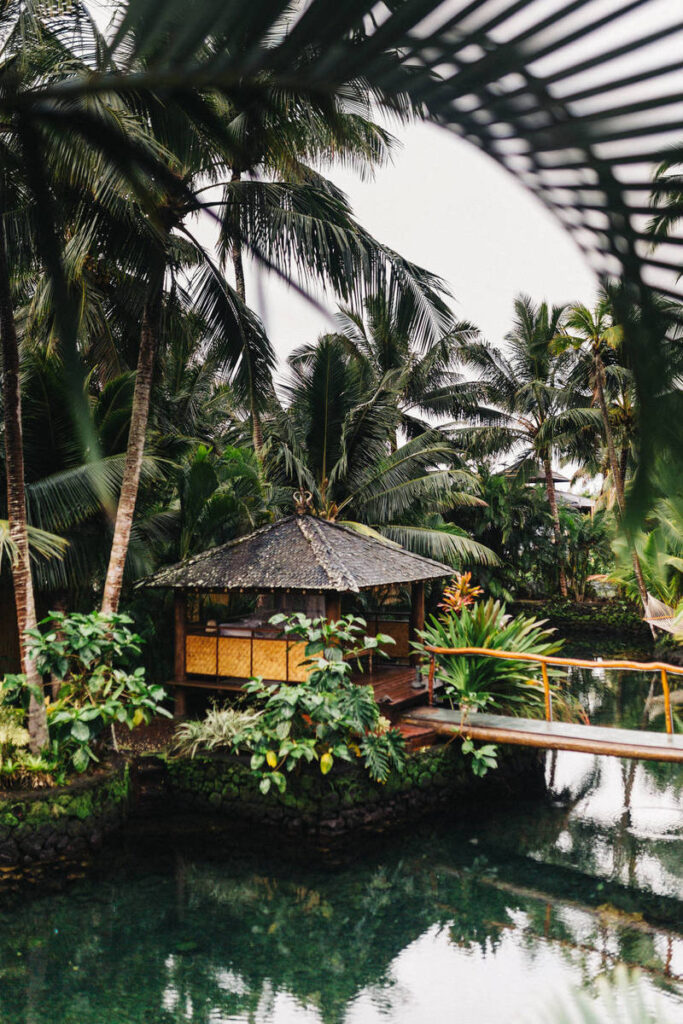 Parliament Speaker, Foreign Minister React to EU Freezing Aid to Georgia